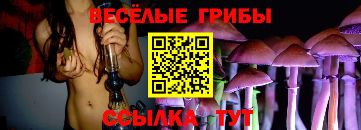 Минеральные Воды  купить закладку  Псилоцибиновые грибы MAGIC MUSHROOMS  Вход с VPN  Псилоцибиновые грибы Magic Shrooms 